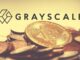 Here Are The Bitcoin Layer 2s To Watch Out For, According To Grayscale