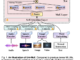 Uni-MoE: A Unified Multimodal LLM based on Sparse MoE Architecture