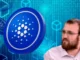 Cardano (ADA) Price Could Decline 10%, Here's Why