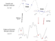 JAMUN: A Walk-Jump Sampling Model for Generating Ensembles of Molecular Conformations