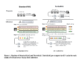 Researchers from Moore Threads AI Introduce TurboRAG: A Novel AI Approach to Boost RAG Inference Speed